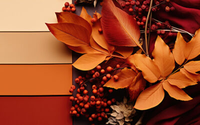 Cores Tendência Outono/Inverno 2026: cores que aquecem, envolvem e reafirmam o seu estilo